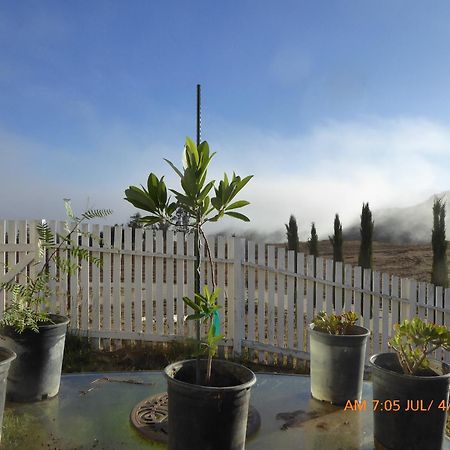 Mansion On The Hill Let 4 Rooms, 5Th Cost Extra Sage Buitenkant foto